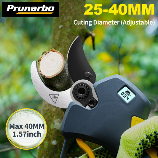 Common Pruning Mistakes & How to Avoid Them