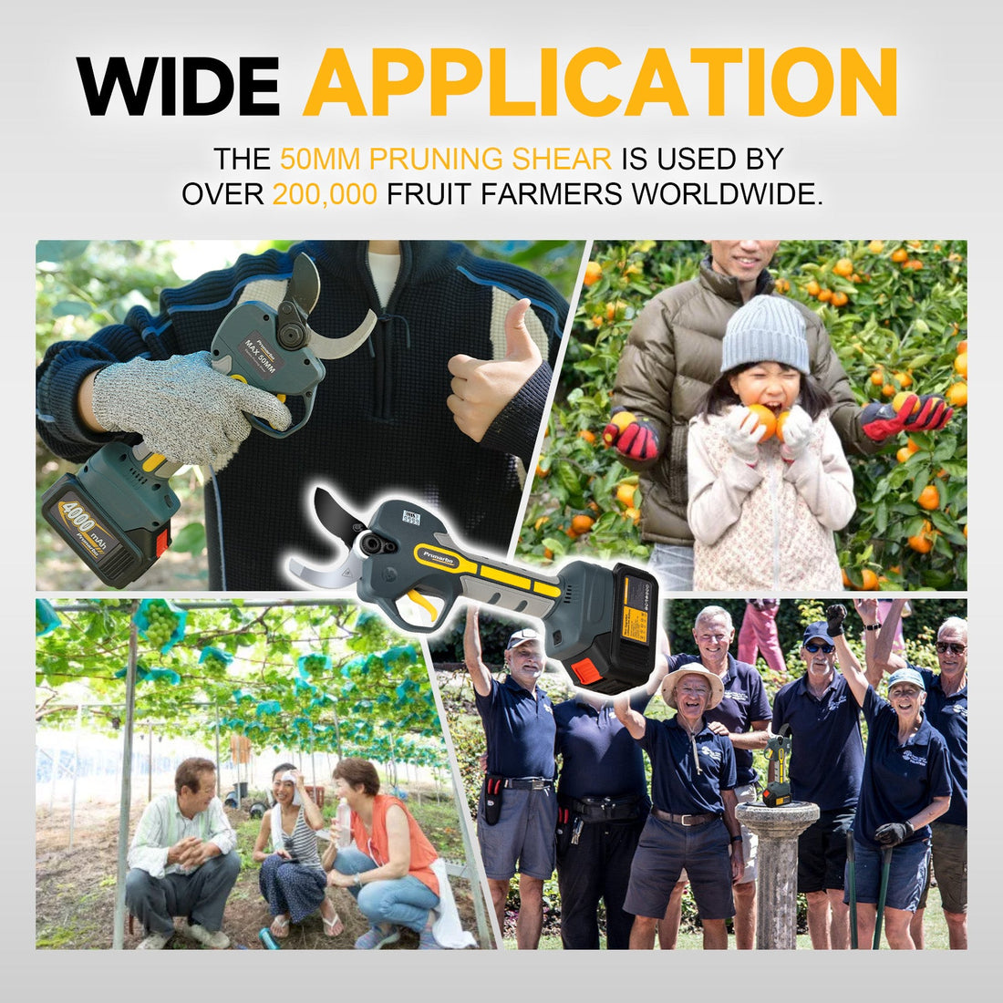 Why Prunarbo PR-E50 Electric Pruner is the Top Choice of Professional Fruit Farmers?