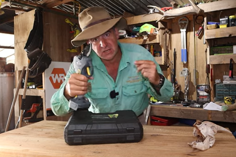 Can I Break Them? Electric Secatures Vs Dead Gum Tree Prunarbo Review
